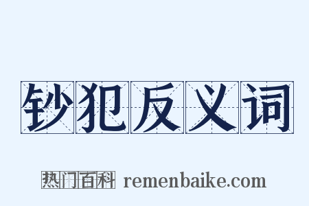 钞犯反义词是什么意思的图片